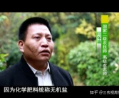 “柑橘您好”——如何正確認識柑橘卷葉及處理辦法